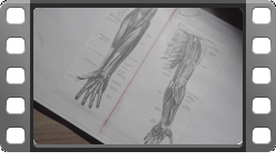 C0048.MP4 thumbnail