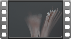 C0067.MP4 thumbnail